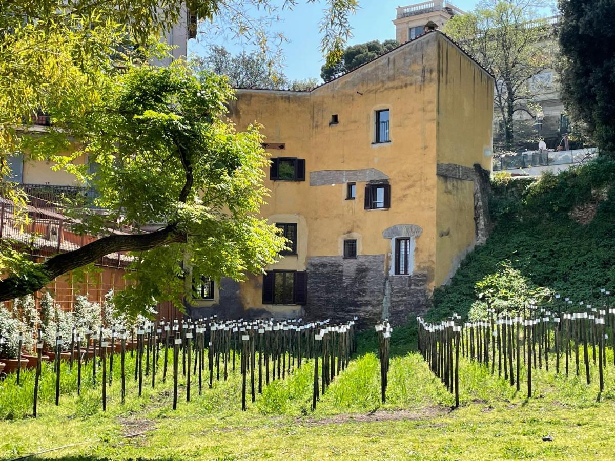 Il Mulino Di Trastevere - My Extra Home Rom Exterior foto