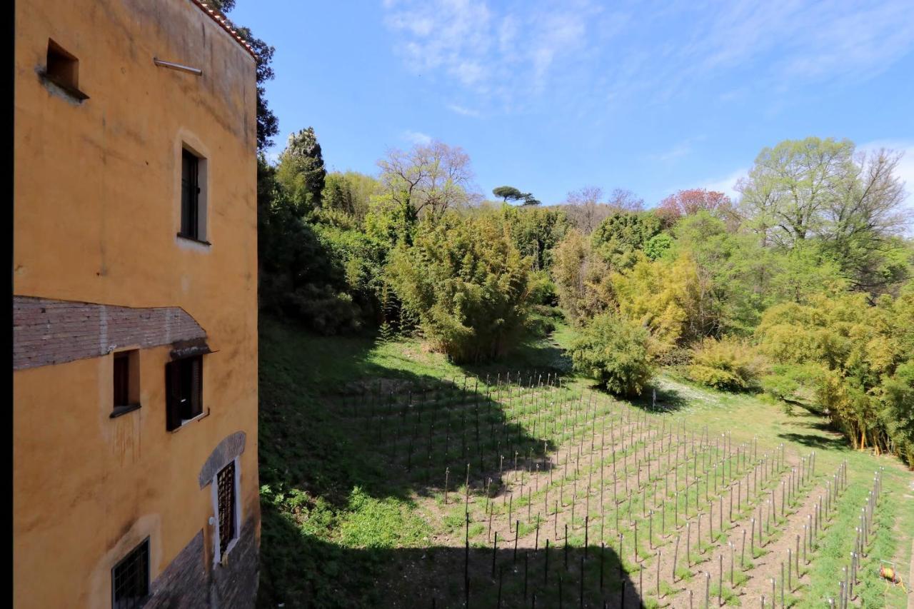 Il Mulino Di Trastevere - My Extra Home Rom Exterior foto